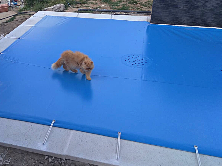 lona piscina mascotas